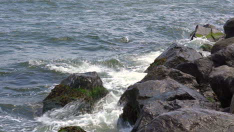 ocean waves rolling over the seaweed covered rocks at the shore