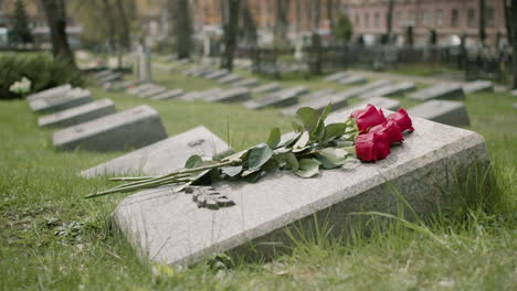 zoom in of red roses on tombstone in a gravevard