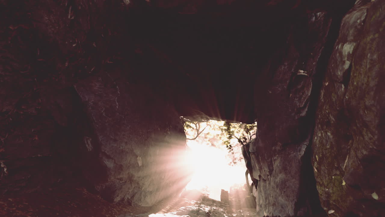 Raggi di sole che filtrano attraverso l'apertura di una grotta in una foresta