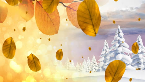 animation of leaves falling over autumn and winter scenery