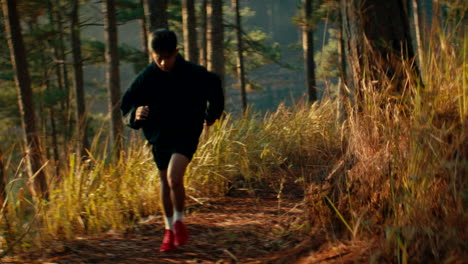 person running in forest trail