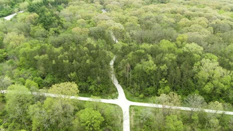 Aerial-shot-of-a-crossroad-on-a-hiking-trail-in-a-dense-forest