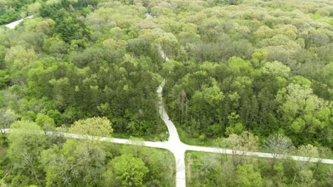 aerial shot of a crossroad on a hiking trail in a dense forest