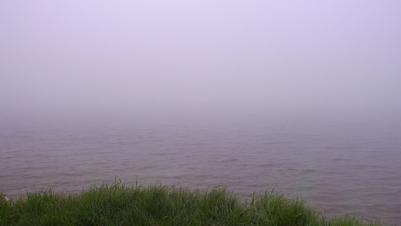 차분한 물 표면 위에 두꺼운 안개가 있습니다.