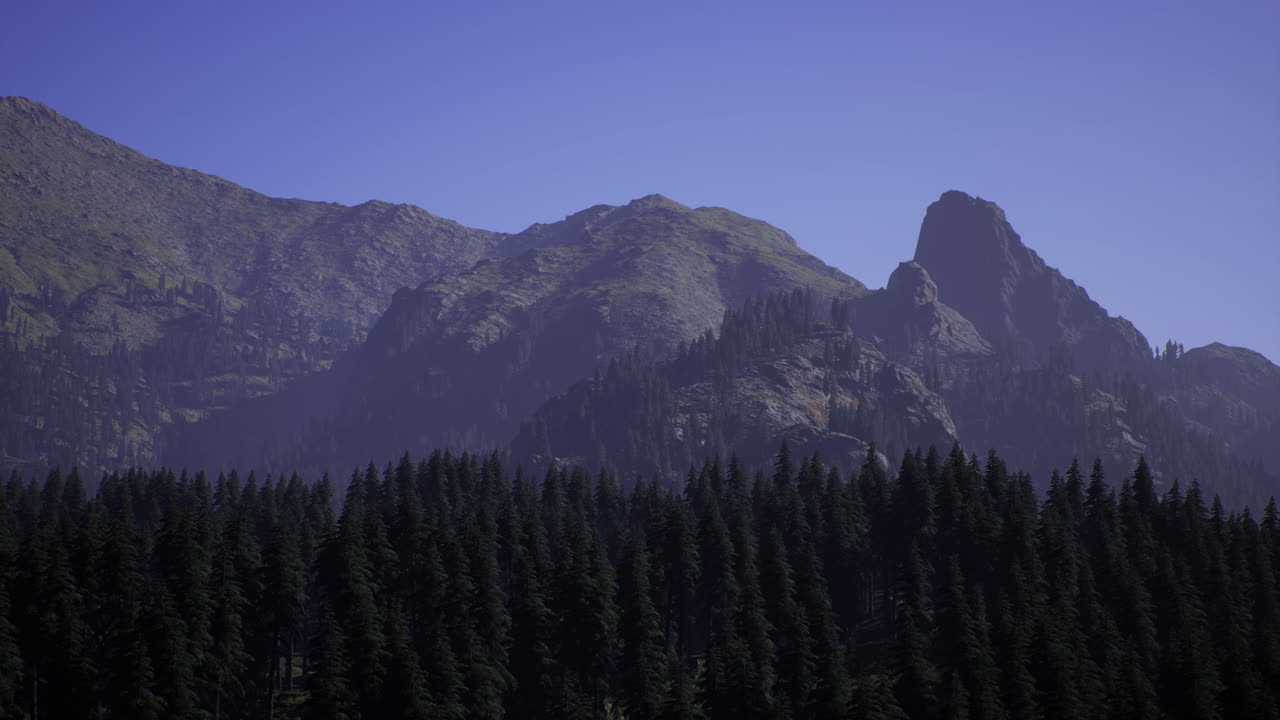 Majestic mountain range rises above dense evergreen forest during clear day