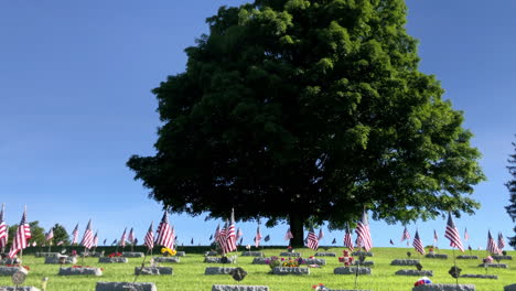 Memorial-graveyard-with-American-flags