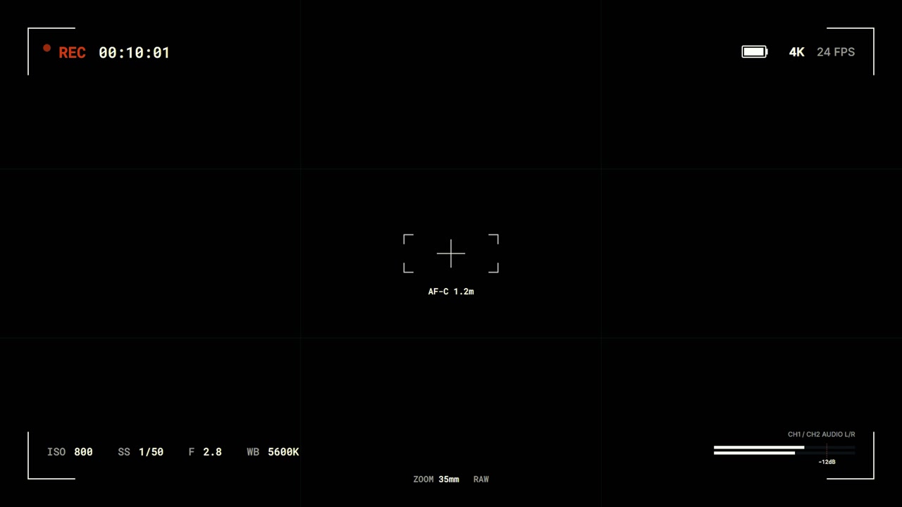 Digital Camera Viewfinder Interface Recording Overlay