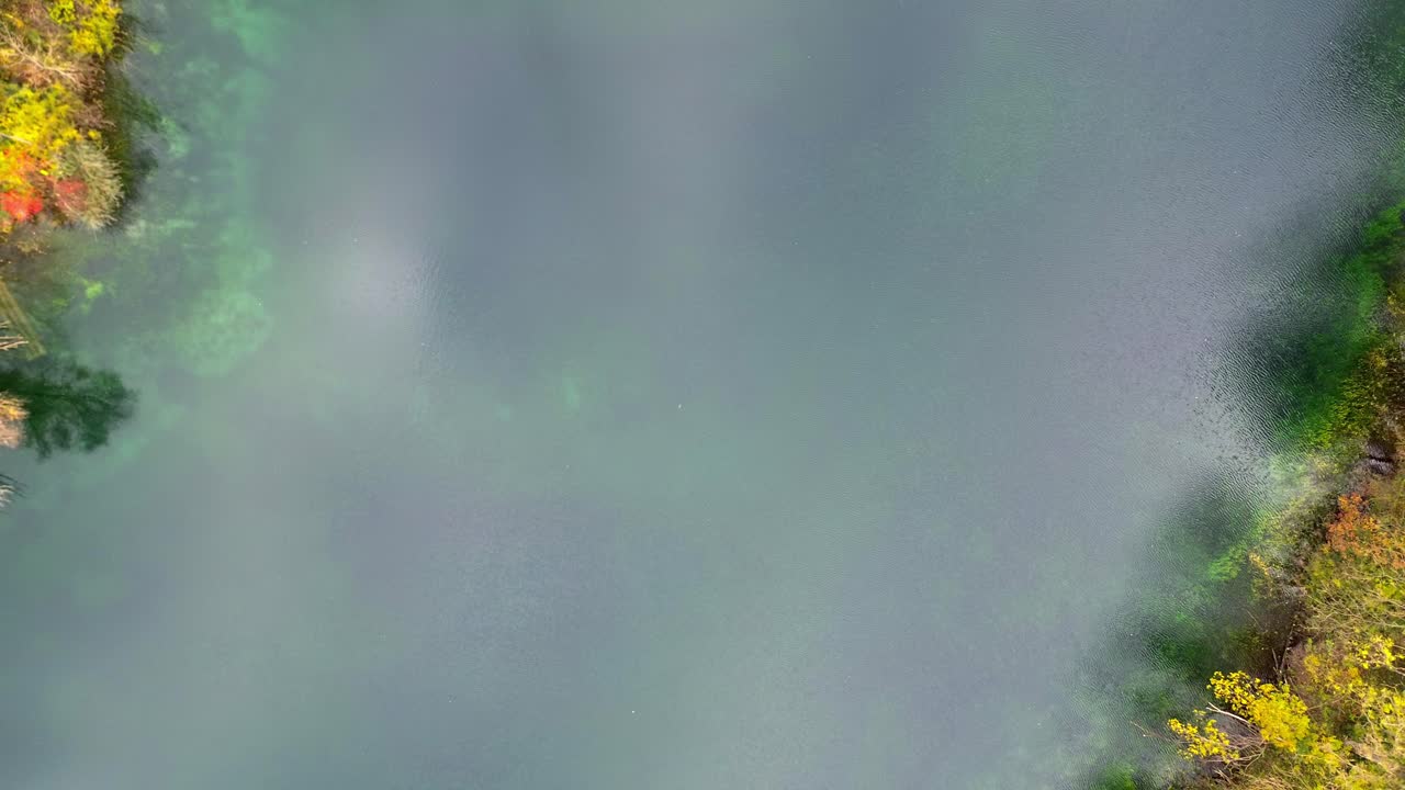 Filmagem aérea de drone 4K da margem de um lago no outono