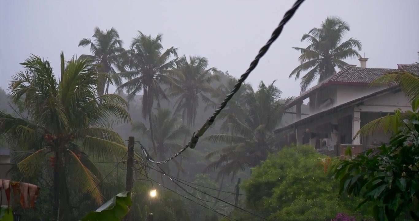 Hujan tropis lebat mengguyur pohon palem, tiang listrik, dan rumah di lereng bukit di lingkungan pesisir. Pemandangan cuaca monsun dengan jarak pandang rendah, tanaman hijau subur, kabel basah, dan suasana tropis yang badai.