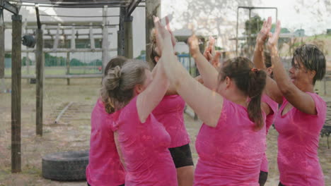 celebrating together, women in pink shirts outdoors giving high fives animation