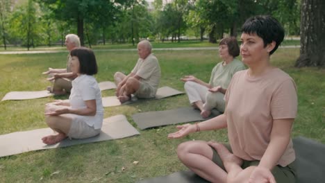 group of seniors practicing yoga in the park outdoors