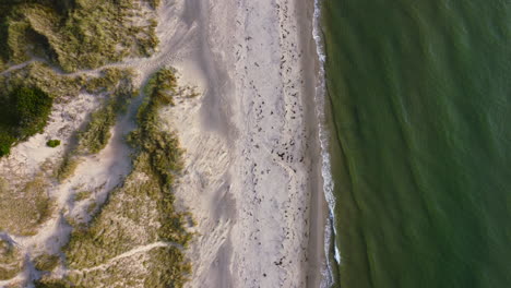 Antenne-Von-Oben-Nach-Unten-Von-Grünen-Wellen,-Die-Bei-Sonnenuntergang-Am-Strand-Von-Skagen-In-Dänemark-Zusammenbrechen