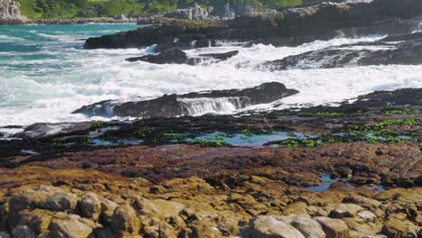 Pequeñas-Olas-Rompiendo-En-Pastos-Marinos---Costa-Rocosa-Cubierta-De-Mejillones