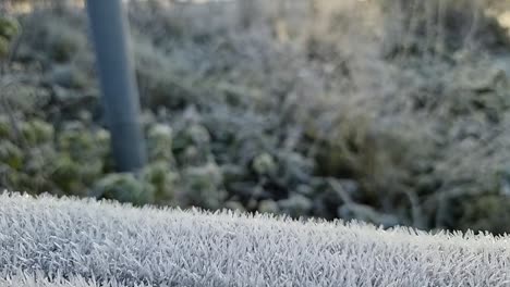 spiky frost covered wooden fence in cold winter parkland field outdoors in chilly wintertime