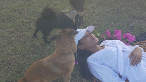 indonesian girl with white dress laying on a lawn surrounded by her two dogs, the tilt shot shows the relaxed mood of the pet owner and the joy of the animals in the natural environment at sunset