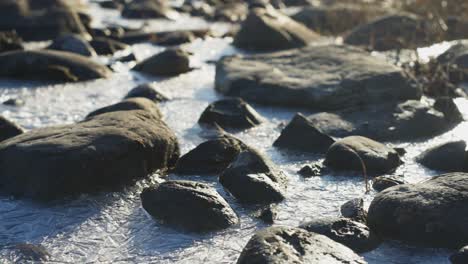 Frozen-rocks-embedded-in-an-arctic-river-in-summer