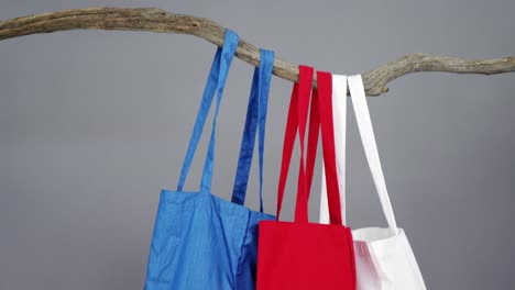 handbags hanging on branch