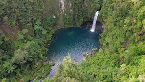 Endemic-Sacred-Nature-Of-Omanawa-Falls-In-The-Bay-Of-Plenty,-Tauranga-Region,-North-Island,-New-Zealand