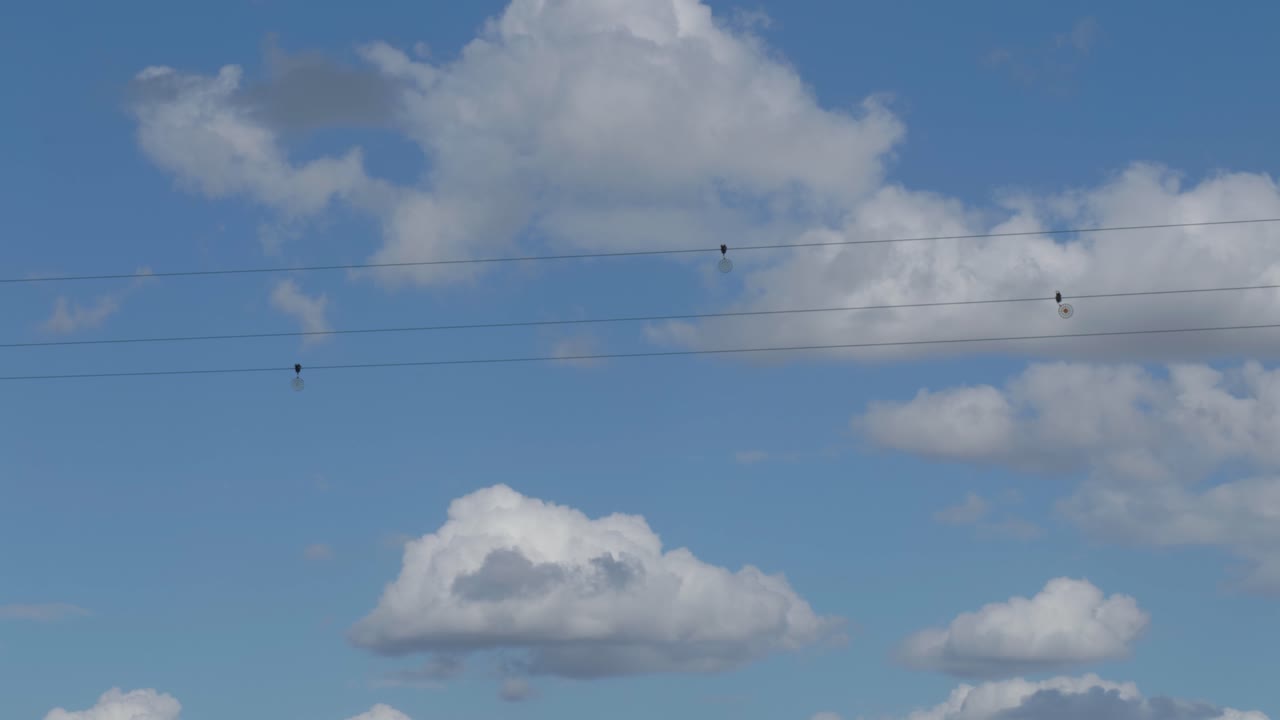 Birds perched on wires under a bright blue sky with fluffy clouds