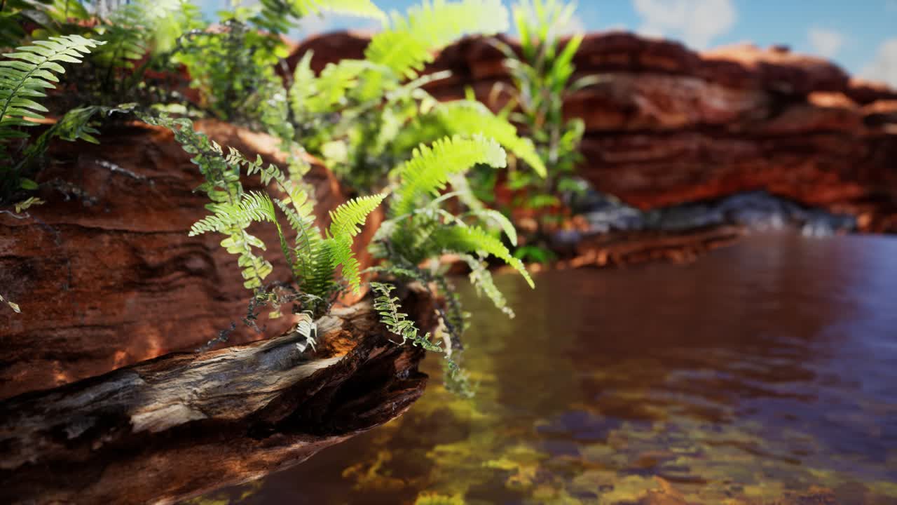 estanque dorado tropical con rocas y plantas verdes