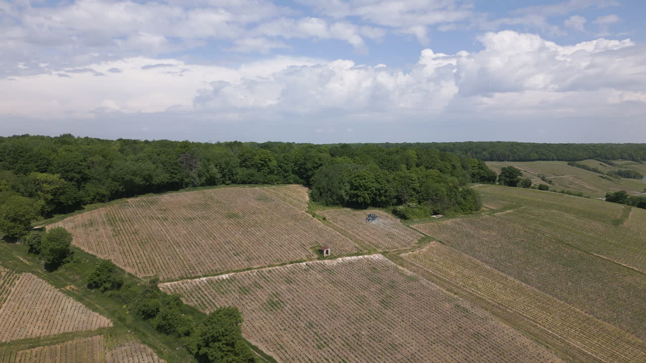 Industrial machine working in grape field in Champagne, France, aerial view