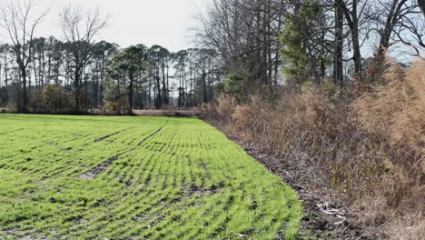 Campo-De-Cultivo-En-Invierno