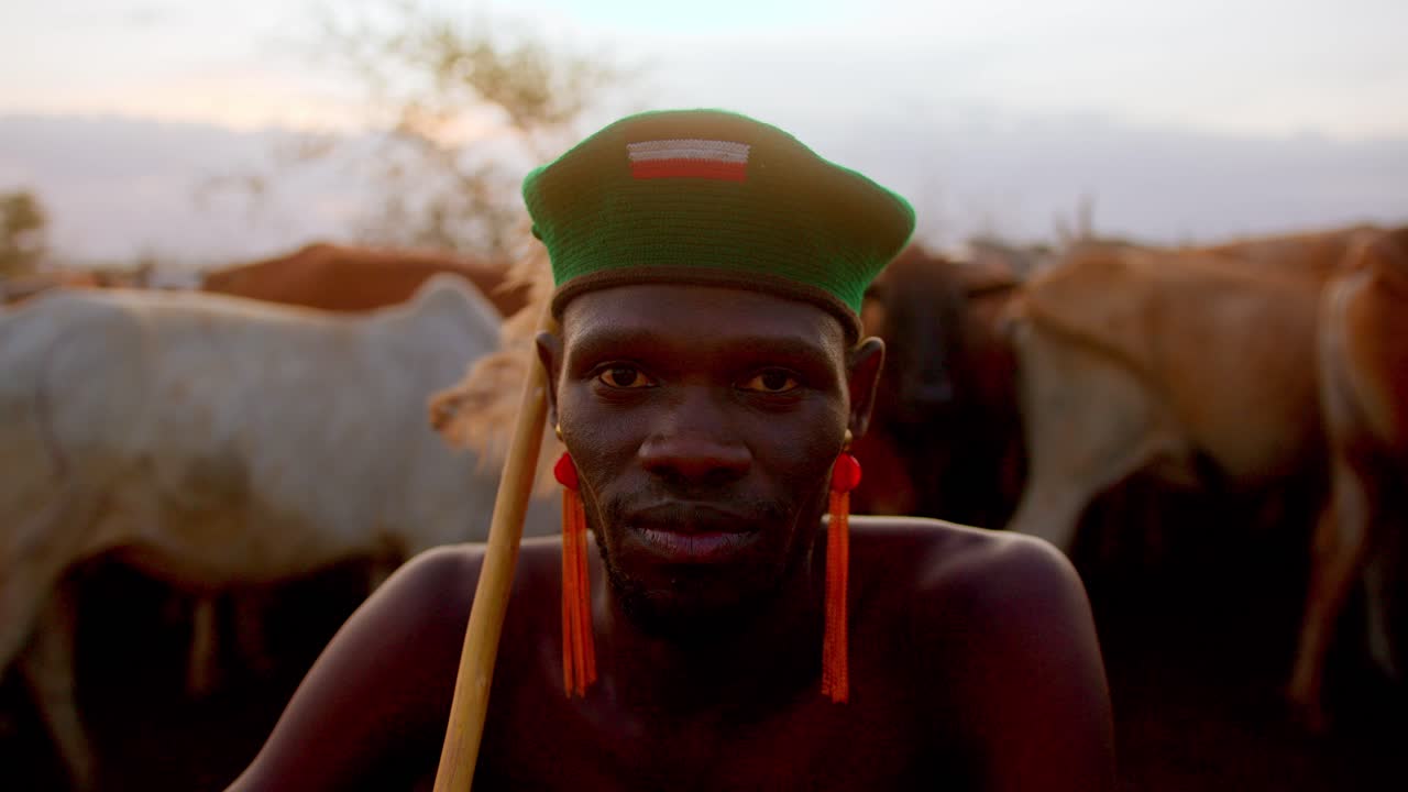 A Traditional African Man Seated Beside His Cattle in Karamoja, Uganda, Africa - Close Up