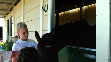 kids stroking horse in stable 4k