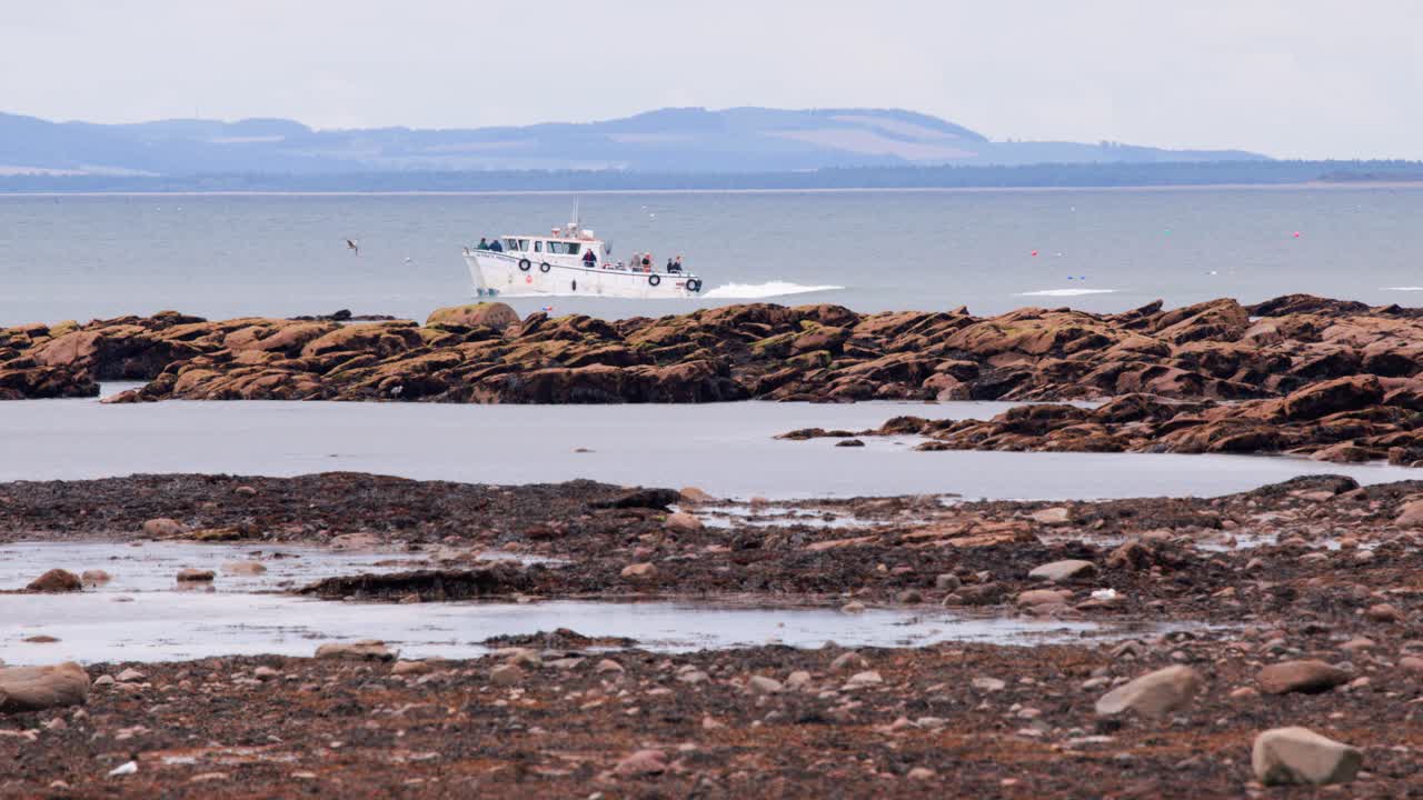 White tour boat cruises past rocky coastline at low tide under overcast sky, distant hills visible