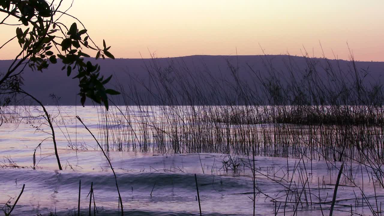 노을 질 무렵 갈릴리 바다에 아름다운 풀이 자란다 2