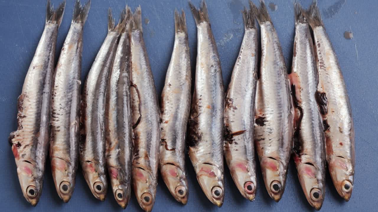 Fresh Anchovies on a Blue Cutting Board