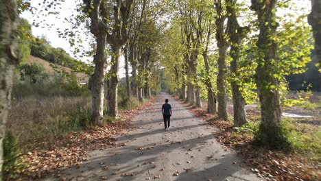 Camino-A-Pie-Vista-Aérea-De-Otoño