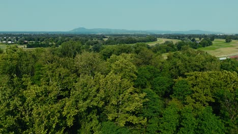 lush forest and winding fields unfold across zagreb’s sava river valley in warm daylight
