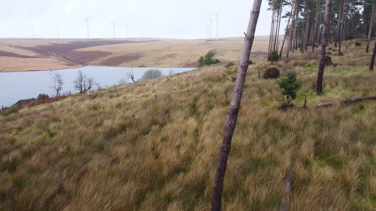 быстро удаляющийся воздушный беспилотник, снятый с водохранилища с ветряной турбиной, лесными деревьями и забором uk 4k