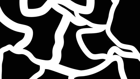 abstract black and white animated pattern