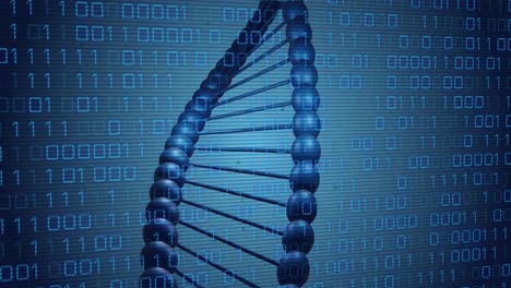 Animation of dna rotating over binary code on blue background