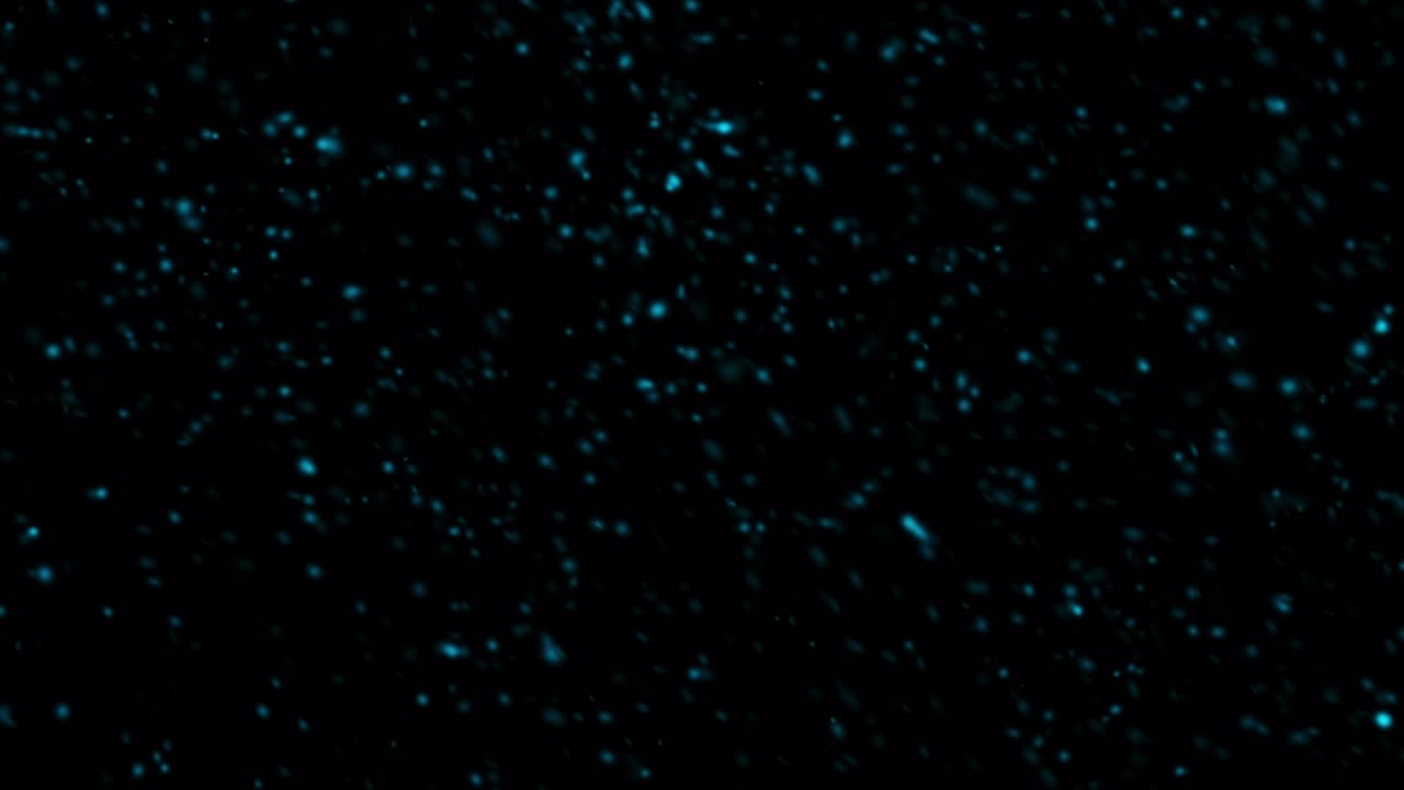 Abstract Loop of falling down snow blue on black background.4K seamless loop new year themed background for winter