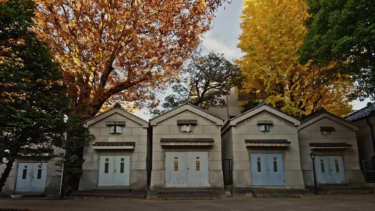 A wide front view of several traditional stone storehouses (Kura) at Anahachimangu Shrine, framed by massive yellow ginkgo and orange autumn trees