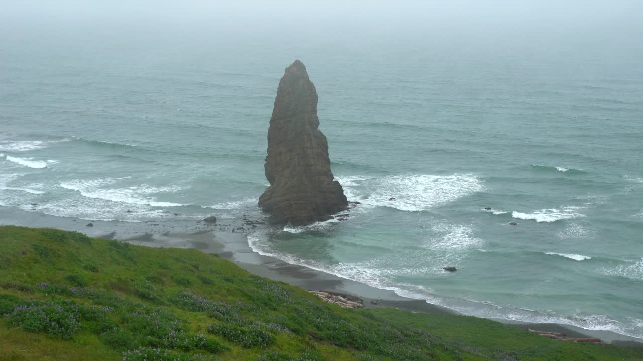 흐린 날의 오레곤 해안 풍경