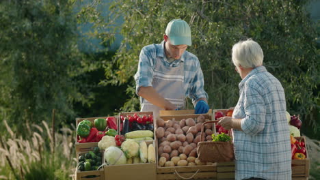 Una-Mujer-Mayor-Compra-Verduras-En-Un-Mercado-De-Agricultores,-El-Vendedor-Pone-Las-Verduras-En-Su-Cesta.