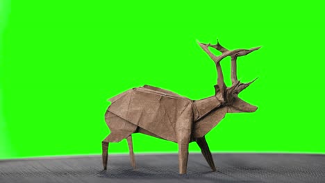 origami deer on green screen.