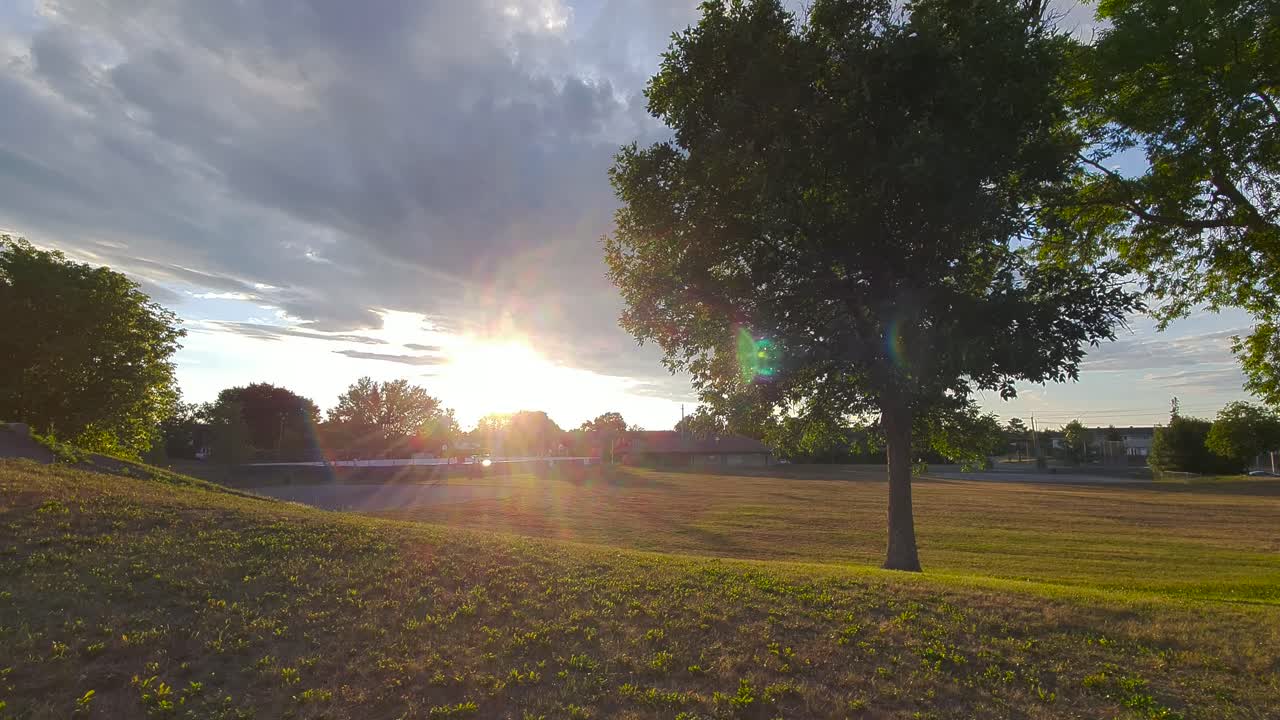 Vedute di spazio verde in un parco urbano con alberi e terreno ondulato al tramonto in estate