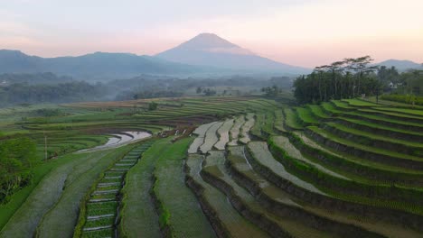 Aerial-flyover-many-flooded-plantation-fields-located-on-slope-of-Mountain-during-sunny-day-with-mystic-fog-in-the-air