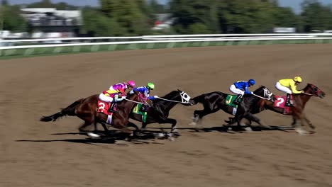 horse racing