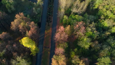autumn park aerial view