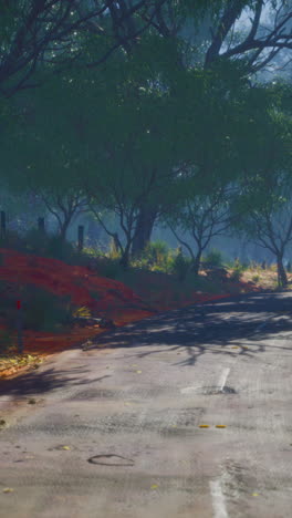 misty country road through the forest