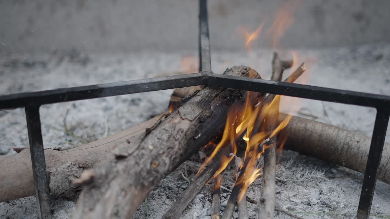 Campfire burning logs and kindling in a metal frame