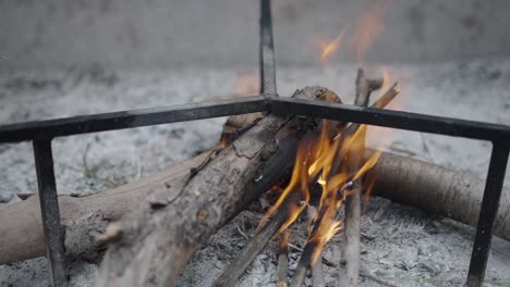 campfire burning logs and kindling in a metal frame