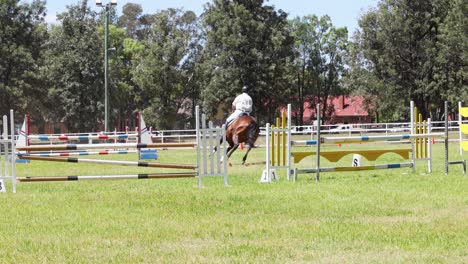 horse and rider navigating a show jumping course