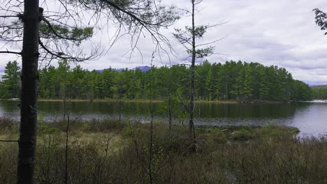 Monte.-Katahdin-Detrás-De-Los-árboles-Con-Un-Arroyo.